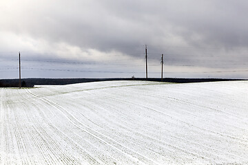 Image showing Electric poles , Winter