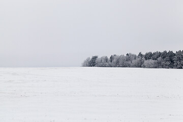 Image showing Snow drifts in winter