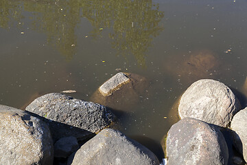 Image showing stone in pond