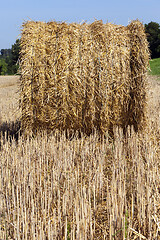 Image showing hay bale , closeup