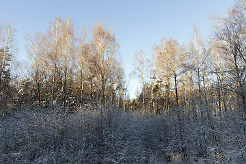 Image showing Snow drifts in winter