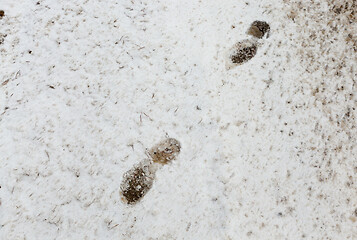 Image showing Footprints of a man