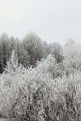 Image showing Snow drifts in winter