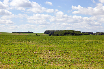 Image showing Nature, landscape