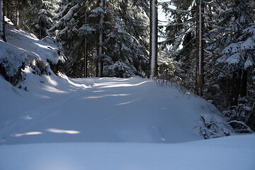 Image showing winter landscape in forest at sunset