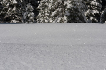 Image showing snow background