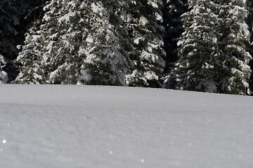 Image showing snow background