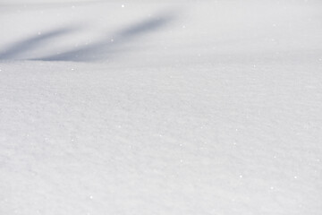 Image showing snow background