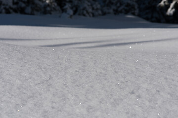 Image showing snow background