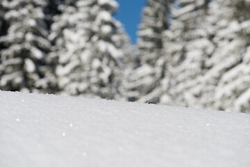 Image showing snow background