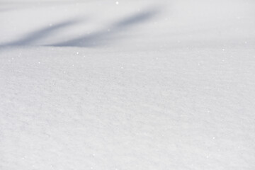 Image showing snow background