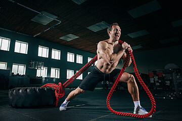 Image showing Shirtless man flipping heavy tire at gym