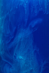 Image showing Abstract pattern falling into the water drop of blue ink - cyan ink dissolved in water
