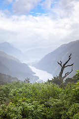 Image showing Fiordland National Park New Zealand