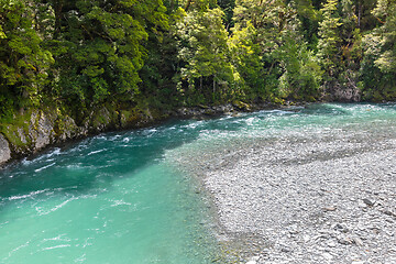 Image showing Haast River Landsborough Valley New Zealand