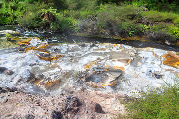 Image showing volcanic activities at waimangu