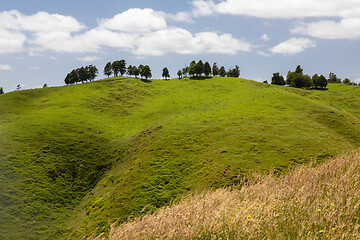 Image showing typical landscape in north New Zealand