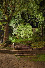 Image showing Fairy look background with old tree in the park