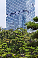 Image showing Modern architecture. Modern steel and glass skyscrapers in Osaka.