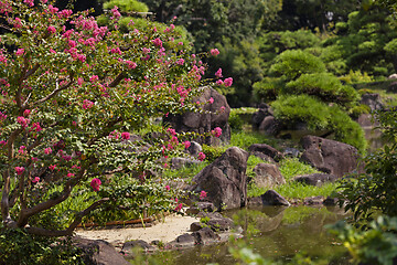 Image showing Beautiful japanese traditional park in summer time