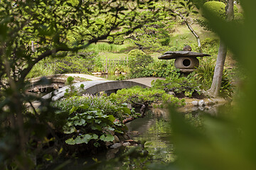 Image showing Beautiful japanese traditional park in summer time