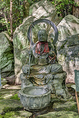 Image showing statue of buddha in natural garden on rocky background