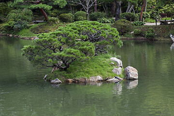 Image showing Beautiful japanese traditional park in summer time