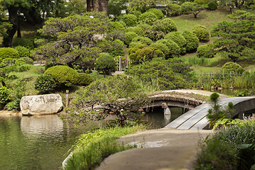 Image showing Beautiful japanese traditional park in summer time