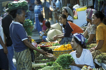 Image showing ASIA INDONESIA BALI TROPICAL FLOWERS