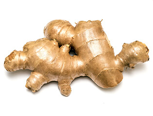 Image showing Ginger Root Means Food Rhizome And Foods 