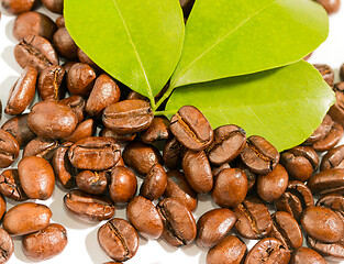 Image showing Coffee Beans Fresh Represents Tasty Delicious And Restaurant 