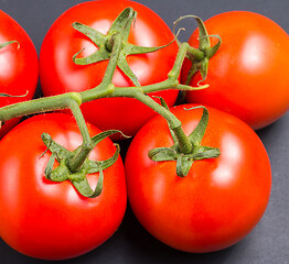 Image showing Freshly picked red tomatoes from the vine 