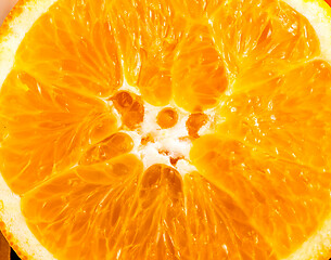 Image showing Orange Closeup Indicates Tropical Fruit And Fruity 