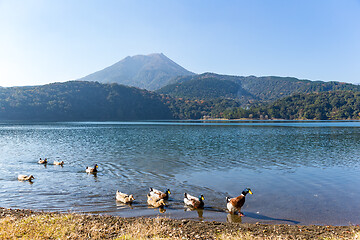 Image showing Mount Kirishima and duck