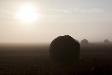 Image showing Big haystack