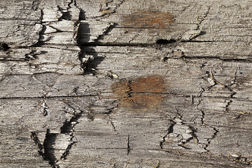 Image showing Old wood surface