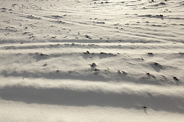 Image showing snow covered field