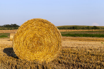 Image showing One stack of straw