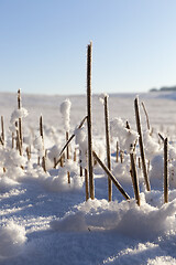 Image showing Snow drifts in winter