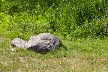 Image showing stones on green grass