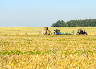 Image showing after harvesting cereals