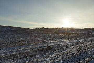 Image showing Winter season. Photo