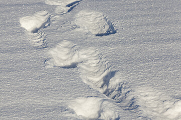 Image showing deep snow