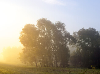 Image showing autumn landscape sun rays