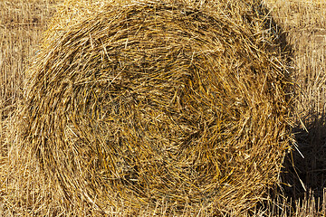 Image showing Photo closeup straw stack