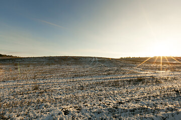 Image showing After snowfall