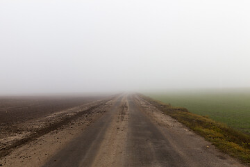 Image showing Field in the fog, close-up