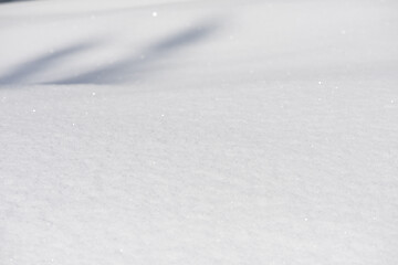 Image showing snow background