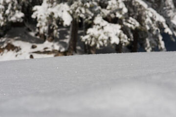 Image showing snow background