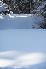 Image showing winter landscape in forest at sunset